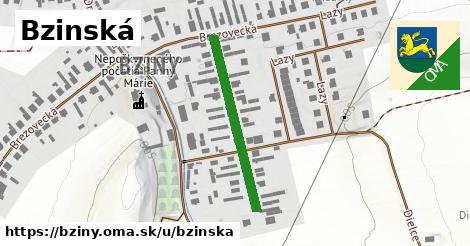 Bzinská, Bziny