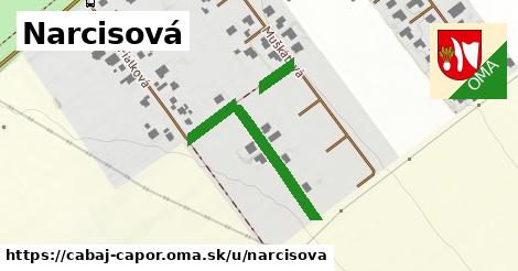 ilustrácia k Narcisová, Cabaj - Čápor - 347 m