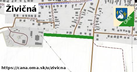 ilustrácia k Živičná, Čaňa - 271 m