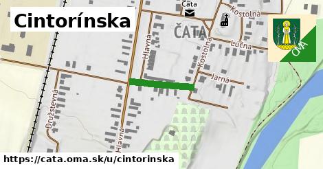 Cintorínska, Čata