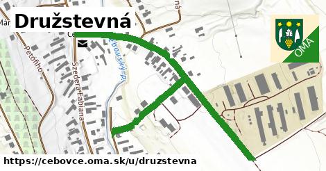 ilustrácia k Družstevná, Čebovce - 0,75 km