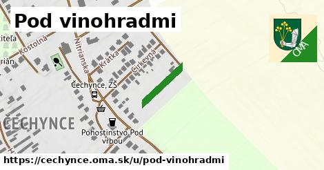 ilustrácia k Pod vinohradmi, Čechynce - 125 m