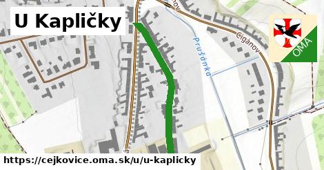 ilustrácia k U Kapličky, Čejkovice - 332 m