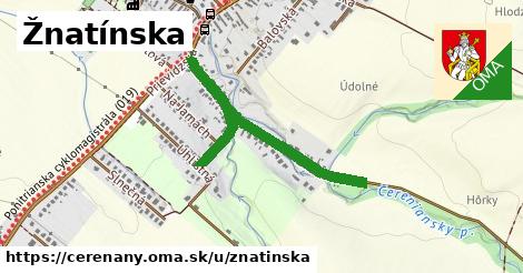 ilustrácia k Žnatínska, Čereňany - 0,84 km