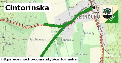 Cintorínska, Černochov