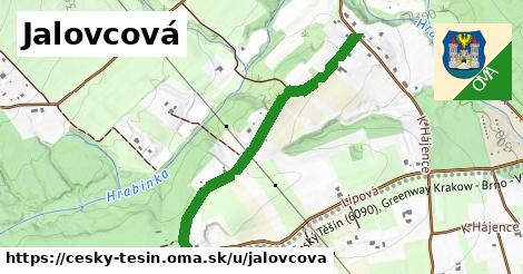 Jalovcová, Český Těšín