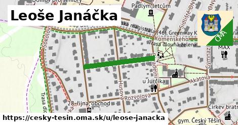 Leoše Janáčka, Český Těšín