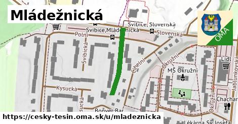 Mládežnická, Český Těšín