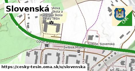 ilustrácia k Slovenská, Český Těšín - 1,02 km