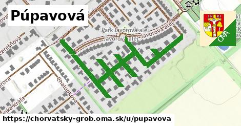 ilustrácia k Púpavová, Chorvátsky Grob - 0,87 km
