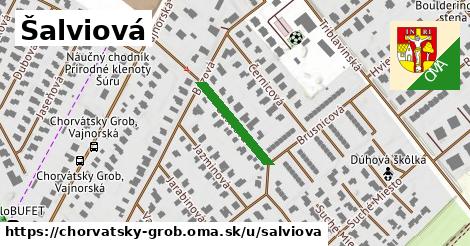 Šalviová, Chorvátsky Grob