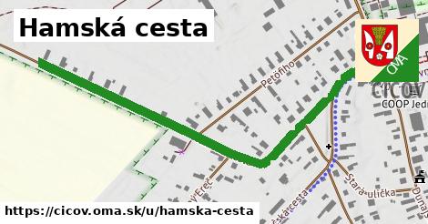ilustrácia k Hamská cesta, Číčov - 0,72 km
