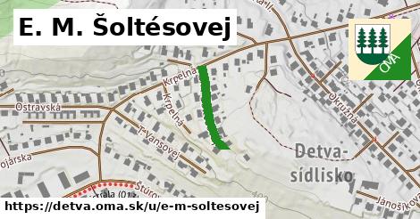 E. M. Šoltésovej, Detva