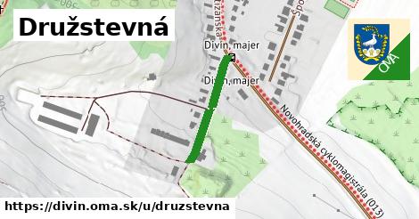 Družstevná, Divín