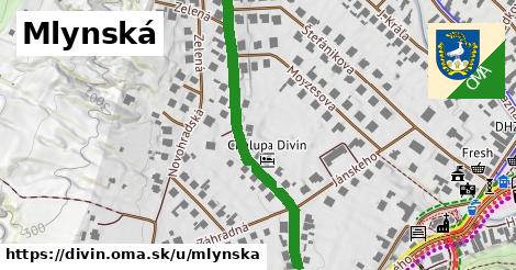 Mlynská, Divín