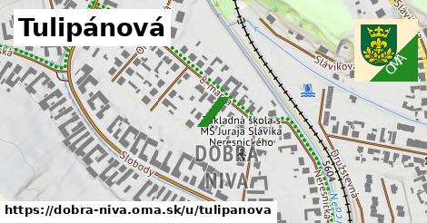 Tulipánová, Dobrá Niva