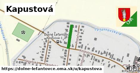 Kapustová, Dolné Lefantovce