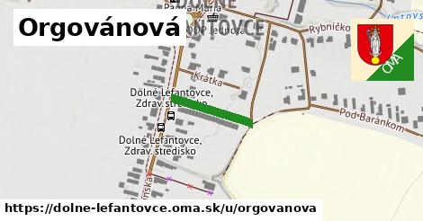 Orgovánová, Dolné Lefantovce