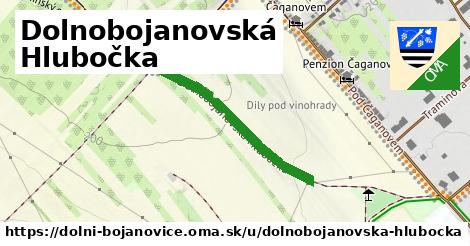 ilustrácia k Dolnobojanovská Hlubočka, Dolní Bojanovice - 308 m