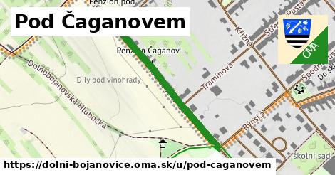 Pod Čaganovem, Dolní Bojanovice