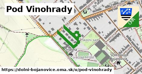 ilustrácia k Pod Vinohrady, Dolní Bojanovice - 351 m