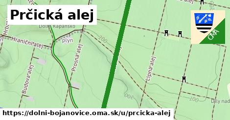 Prčická alej, Dolní Bojanovice