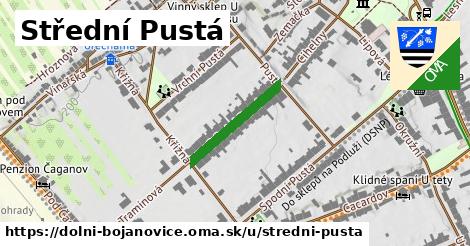 Střední Pustá, Dolní Bojanovice