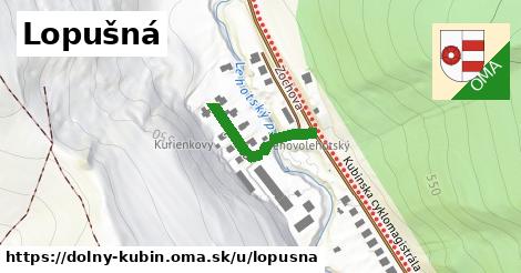 ilustrácia k Lopušná, Dolný Kubín - 195 m