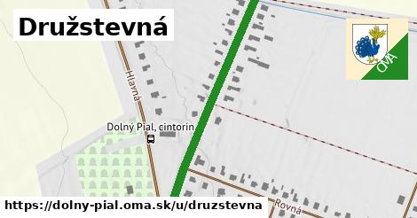 Družstevná, Dolný Pial