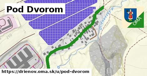 ilustrácia k Pod Dvorom, Drienov - 463 m