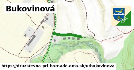 ilustrácia k Bukovinová, Družstevná pri Hornáde - 163 m