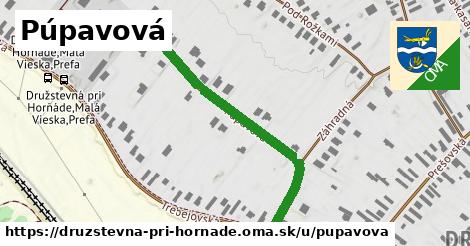 ilustrácia k Púpavová, Družstevná pri Hornáde - 462 m