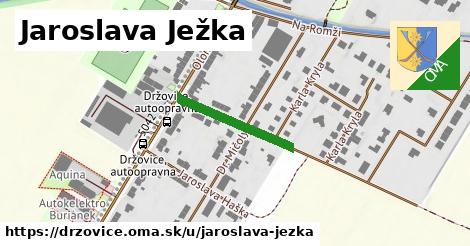 Jaroslava Ježka, Držovice