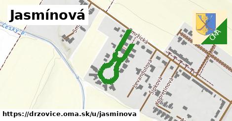 ilustrácia k Jasmínová, Držovice - 383 m