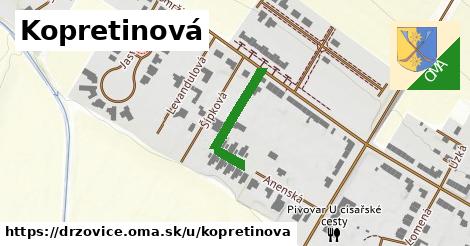 ilustrácia k Kopretinová, Držovice - 196 m