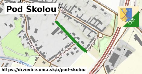 Pod Školou, Držovice