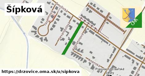 Šípková, Držovice