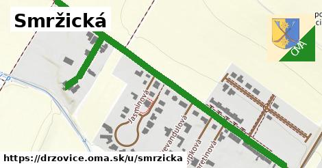 ilustrácia k Smržická, Držovice - 0,83 km