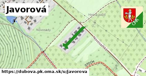 Javorová, Dubová, okres PK