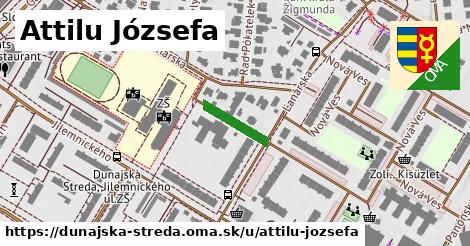 ilustrácia k Attilu Józsefa, Dunajská Streda - 120 m