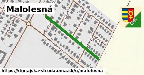 Malolesná, Dunajská Streda