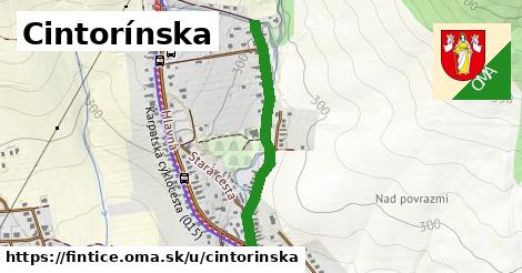 Cintorínska, Fintice