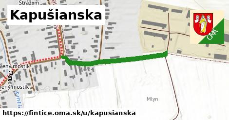 Kapušianska, Fintice