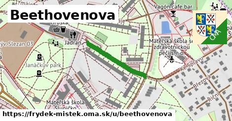 Beethovenova, Frýdek-Místek