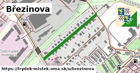 Březinova, Frýdek-Místek