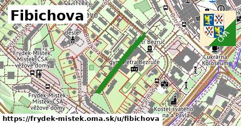 Fibichova, Frýdek-Místek