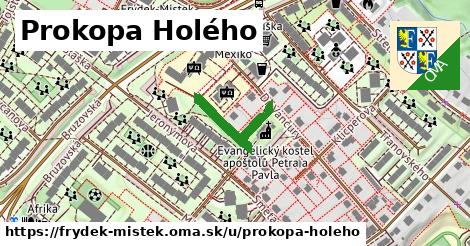 Prokopa Holého, Frýdek-Místek