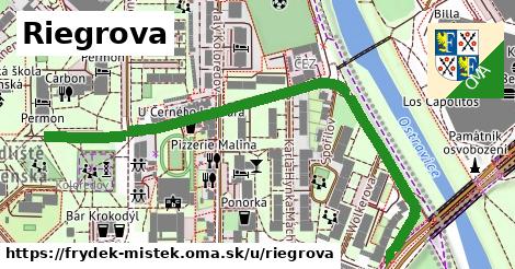 Riegrova, Frýdek-Místek