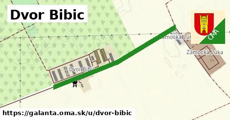 Dvor Bibic, Galanta