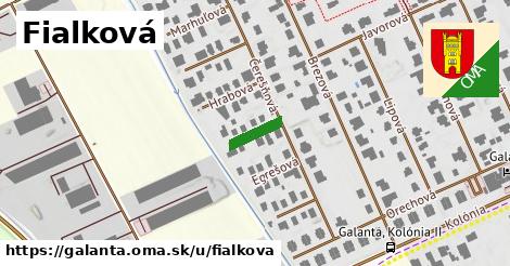 Fialková, Galanta